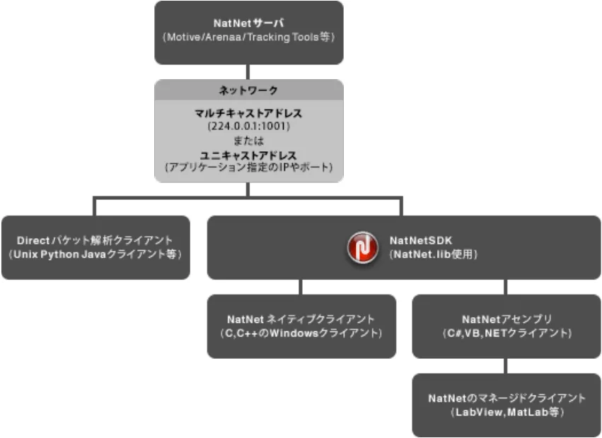 NatNet SDKチャート図