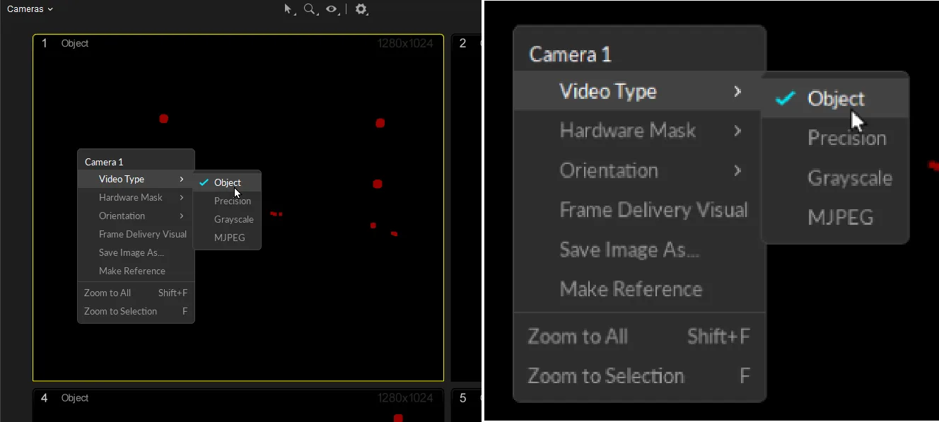 Camera Previewペインでのビデオタイプ変更